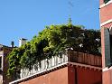 Venedig (306)